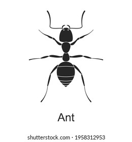 Ant vector black icon. Vector illustration pest insect ant on white background. Isolated black illustration icon of pest insect.