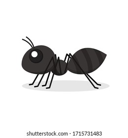 Ant vector. Black ant on white background. free space for text. copy space.