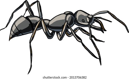 Ant Vector Cartoon Image Isolated Stock Vector (Royalty Free ...