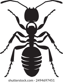 ant vector design illustration art aniamal