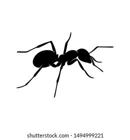 Ant Vector Design Logo. Ant Illustration With Various Shapes and Different movements