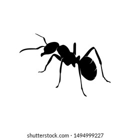 Ant Vector Design Logo. Ant Illustration With Various Shapes and Different movements