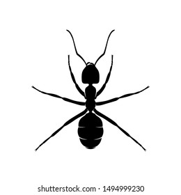 Ant Vector Design Logo. Ant Illustration With Various Shapes and Different movements