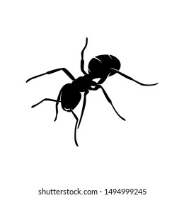 Ant Vector Design Logo. Ant Illustration With Various Shapes and Different movements