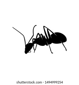 Ant Vector Design Logo. Ant Illustration With Various Shapes and Different movements