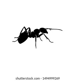 Ant Icon Symbol Sign Vector Stock Vector (Royalty Free) 1932964025 ...