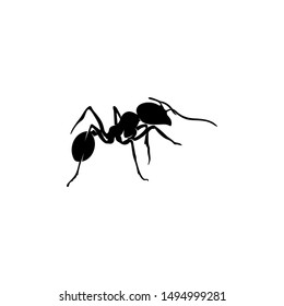Ant Vector Design Logo. Ant Illustration With Various Shapes and Different movements