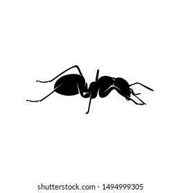 Ant Vector Design Logo. Ant Illustration With Various Shapes and Different movements
