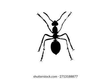 Diseño de Vector de hormigas para su negocio