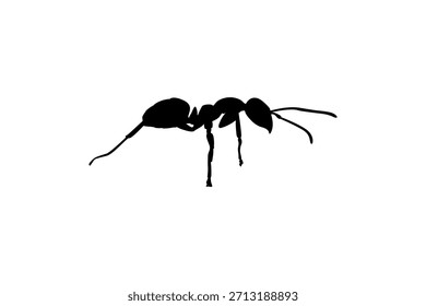 Diseño de Vector de hormigas para su negocio