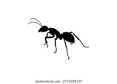 design vetorial de formiga para sua empresa