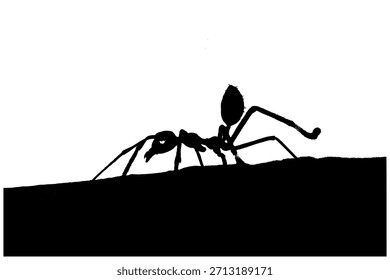 Diseño de Vector de hormigas para su negocio