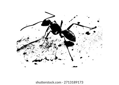 Diseño de Vector de hormigas para su negocio