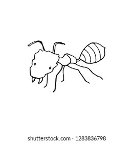 ant vector doodle sketch isolated on white background
