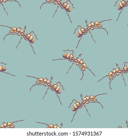 Ant. Vector drawing of an insect hand-drawn. Seamless pattern