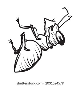 ilustración de diseño gráfico vectorial ant, icono, dibujo de tatuajes de arte, dibujo a mano, uso en impresión