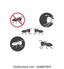 Ant vector icon illustration design template