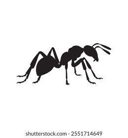Ant vector icon on white background