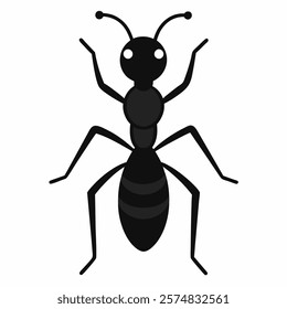 Ant vector icon on white background.