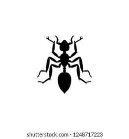 ant vector icon. ant sign on white background. ant icon for web and app