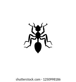ant vector icon. ant sign on white background. ant icon for web and app