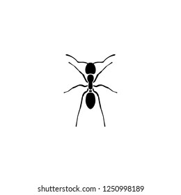 ant vector icon. ant sign on white background. ant icon for web and app