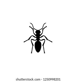 ant vector icon. ant sign on white background. ant icon for web and app
