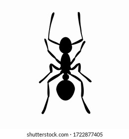 Ant vector icon sign symbol.Vector illustration