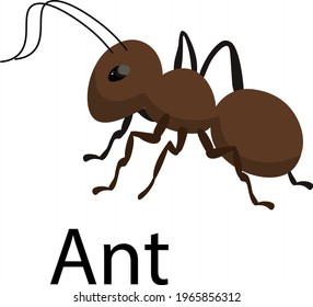 ant vector illustration, brown insect, illustration for children, books, printed products