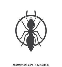 Ant vector illustration design template