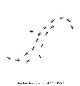 Ant vector illustration design template