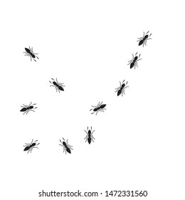 Ant vector illustration design template