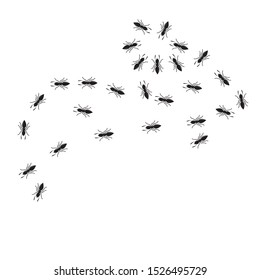 Ant vector illustration design template 