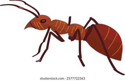 Ant vector illustration. Ant illustration for tshirt, bag, poster, placard, postcard, sticker, online, web site.