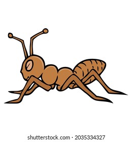 ant vector illustration,isolated on white background,top view