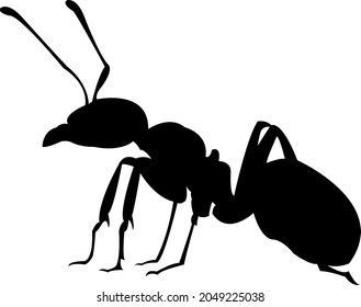 ant vector image for animal lovers and nature lovers