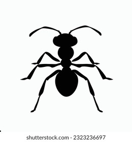 Ant vector, Vector Image of ant ,black and white color theme