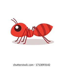 Ant vector. Ant on white background.