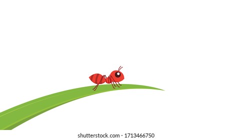 Ant vector. Ant on white background. free space for text. copy space. Ant on the leaf.