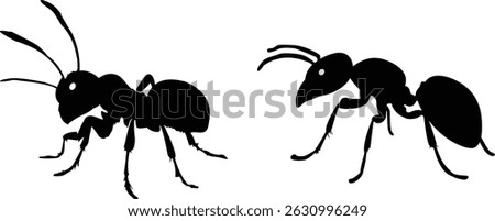 Ant Vector silhouette art, Ant vector icon, black ant, black ant face