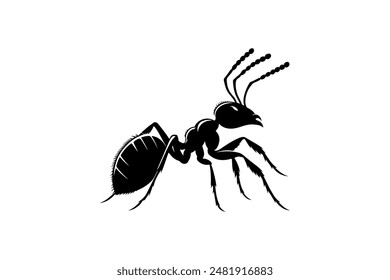 Ant vector silhouette illustration EPS 