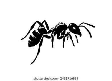 Ant vector silhouette illustration EPS 