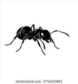 Silueta de Vector de hormiga sobre fondo blanco. Silueta de insecto de hormiga. Hormiga ilustración negra. Diseño para impresión, logotipo, Anuncio, cartel, y más.