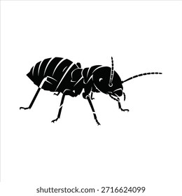Silueta de Vector de hormiga sobre fondo blanco. Silueta de insecto de hormiga. Hormiga ilustración negra. Diseño para impresión, logotipo, Anuncio, cartel, y más.