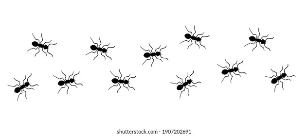 Ant Vector Trail Marching Illustration. Ant Bug Pest Control Background Teamwork