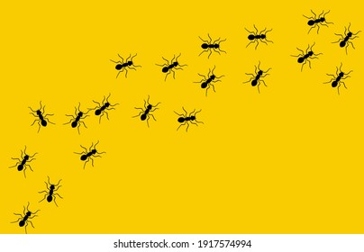 Ant vector trail marching illustration. Ant bug pest control background teamwork