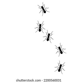 Ant vector trail marching illustration. Ant bug pest control background teamwork