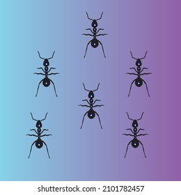 Ant vectors are all insects belonging to the Formicidae tribe