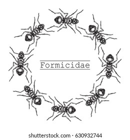 Ant  vintage engraved illustration. Isolated on white. 