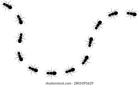 Ant walk icon with insect trail, crawling ants path bug movement line and tiny animal silhouettes, black flat vector illustration elements isolated on white background for nature design